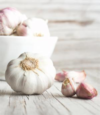Garlic