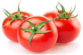 Tomato